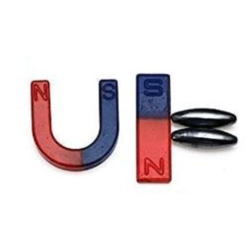 Pexon Magnet (4 Pcs) 