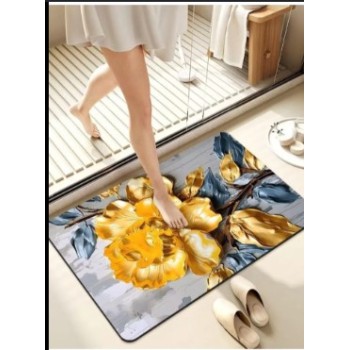  Water Absorbent Doormat