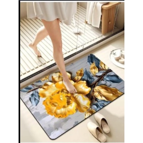  Water Absorbent Doormat