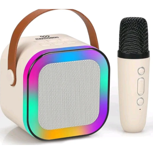Wireless Karaoke Speaker