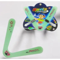 Sports Boomerang