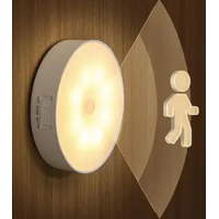 Motion Sensor Led Light (1pc)