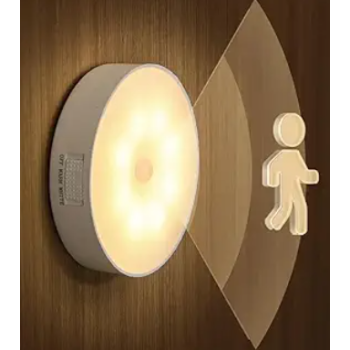 Motion Sensor Led Light (1pc)